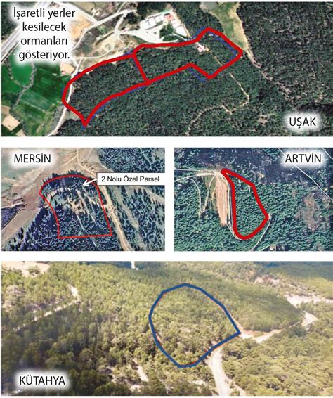 U­y­d­u­ ­F­o­t­o­ğ­r­a­f­l­a­r­ı­ ­O­r­t­a­y­a­ ­Ç­ı­k­t­ı­:­ ­O­r­m­a­n­l­ı­k­ ­A­l­a­n­l­a­r­ ­T­u­r­i­z­m­e­ ­A­ç­ı­l­m­ı­ş­